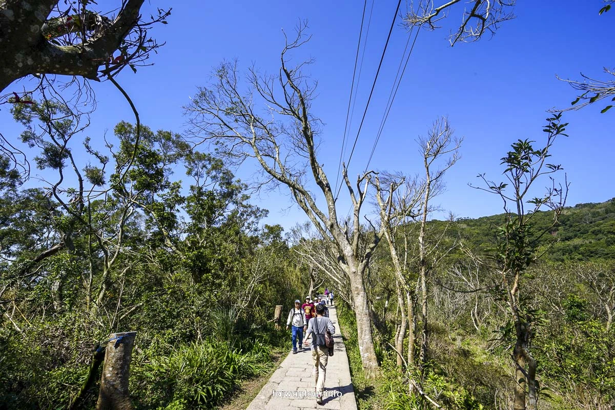 【觀音山硬漢嶺步道】北部景點推薦五股世界級的景觀
