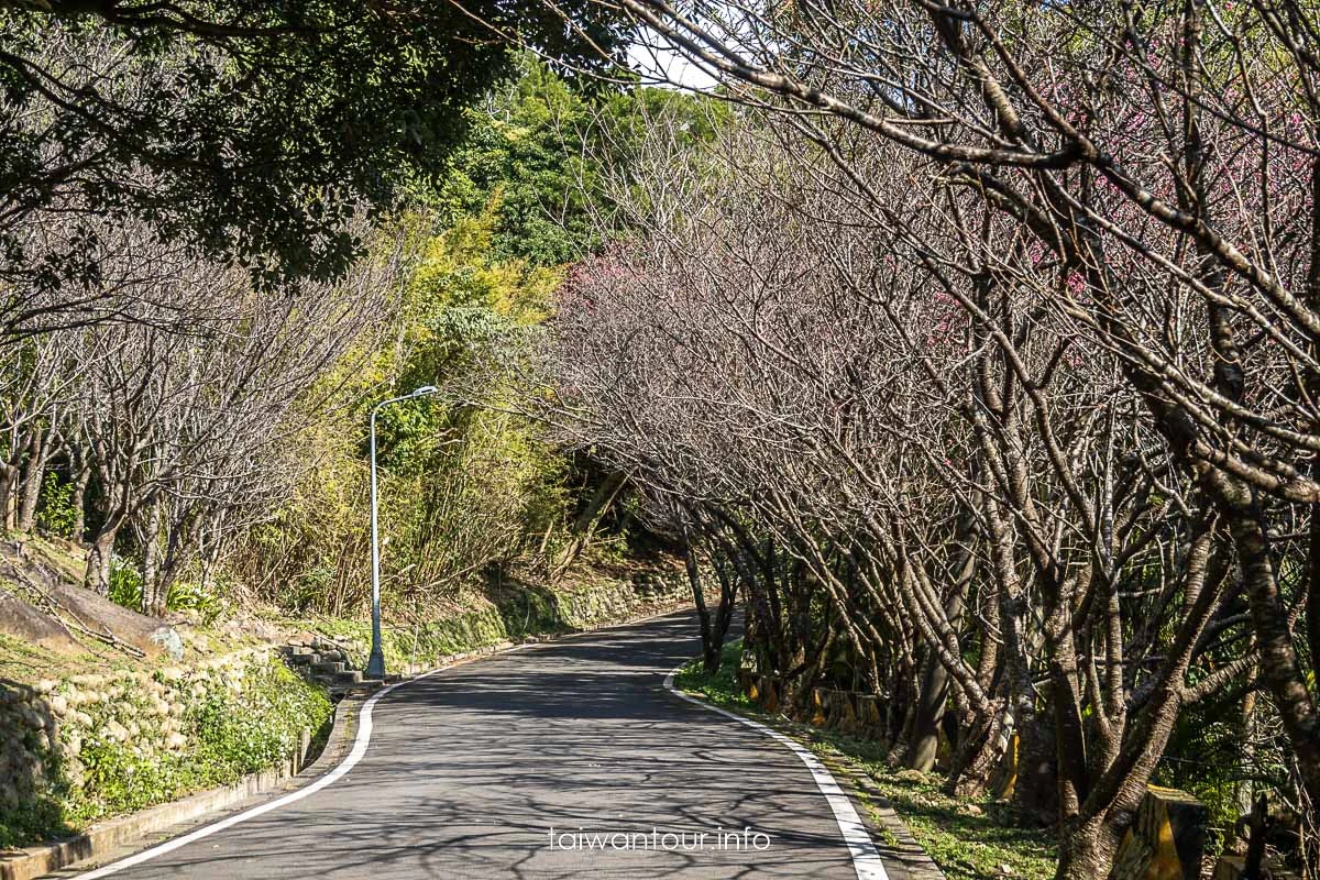 【中正山步道||大屯山系】北投景點推薦.路線圖.車泊.車宿 【中正山步道||大屯山系】北投景點推薦.路線圖.車泊.車宿