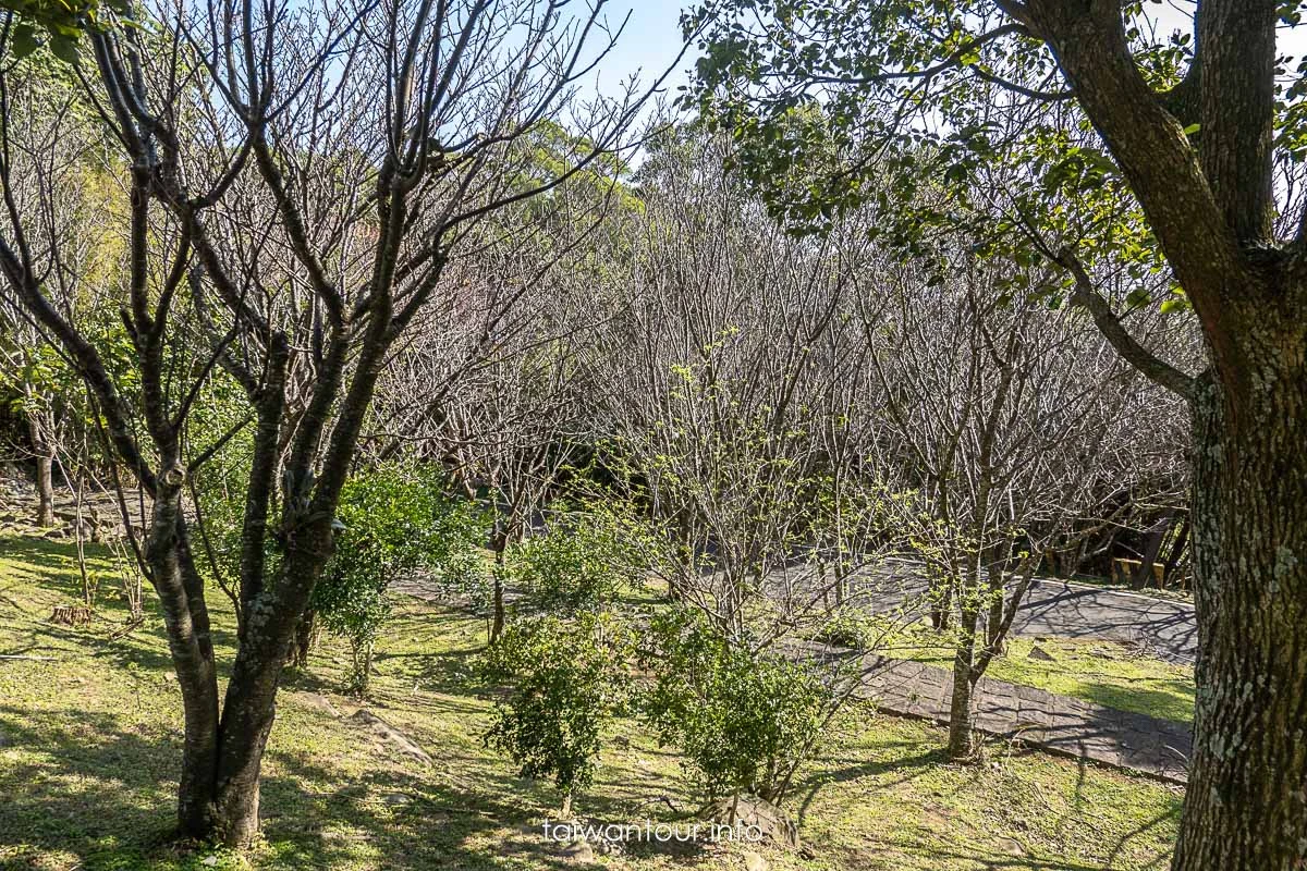 【中正山步道||大屯山系】北投景點推薦.路線圖.車泊.車宿