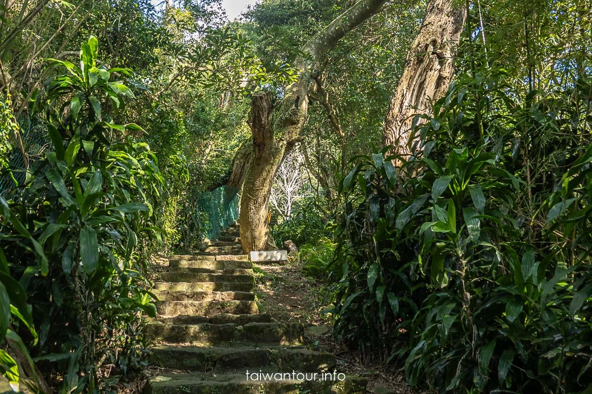 【中正山步道||大屯山系】北投景點推薦.路線圖.車泊.車宿