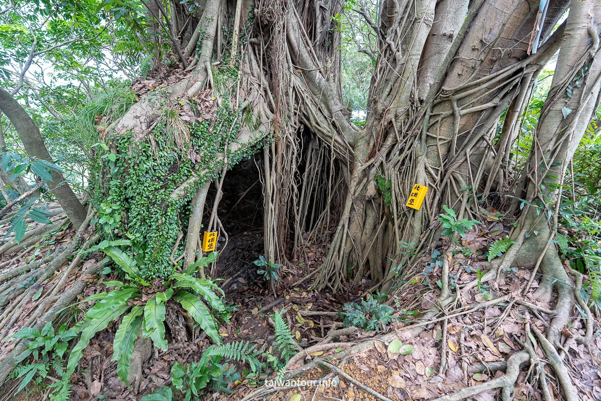 【獅球嶺步道】基隆親子步道.劉銘傳隧道.百年砲台..黑山老妖.吳哥窟