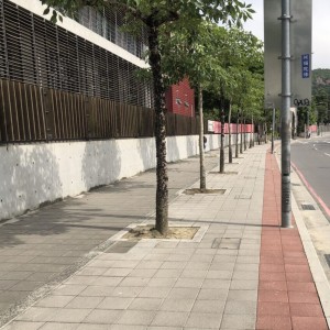 大學學測將登場　 1/17新北部分考場周邊紅線可臨停接送