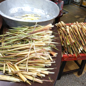陽明山箭竹筍產季將至 採筍證即日起開放申辦