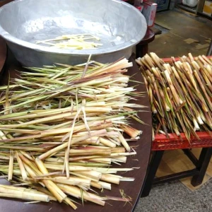陽明山箭竹筍產季將至 採筍證即日起開放申辦