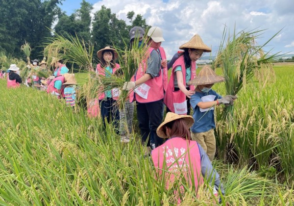 文章快取測試＋同步更新測試