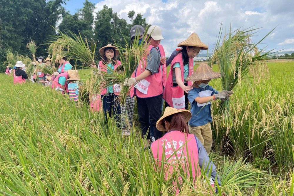 文章快取測試＋同步更新測試