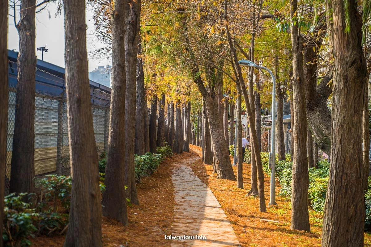 【2026北投社三層崎公園】富良野花海.IG網美秘境.交通地址
