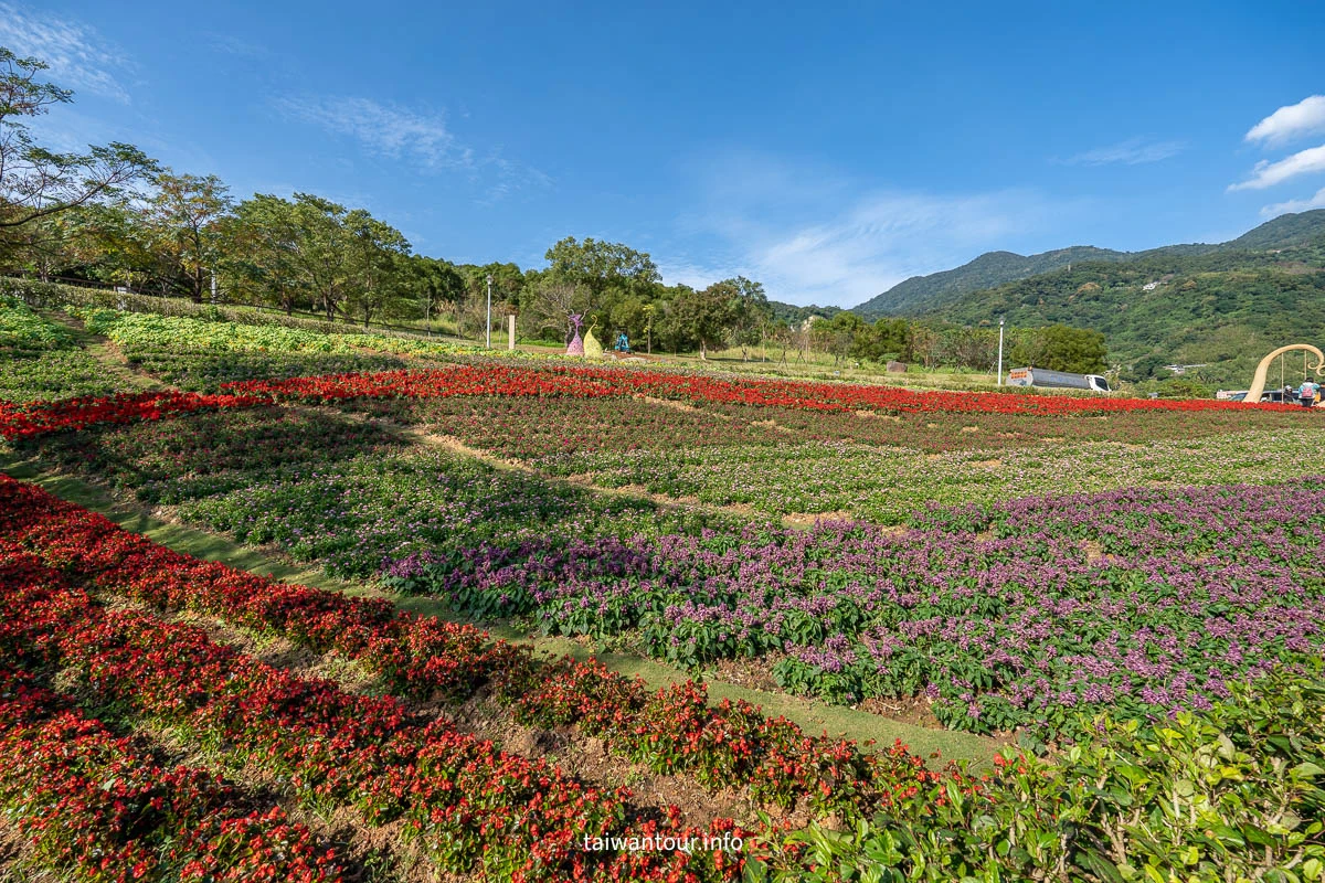 【2026北投社三層崎公園】富良野花海.IG網美秘境.交通地址