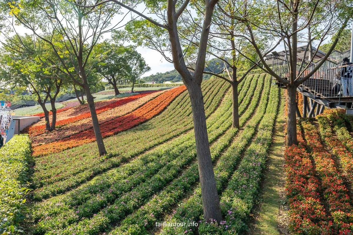 【2026北投社三層崎公園】富良野花海.IG網美秘境.交通地址