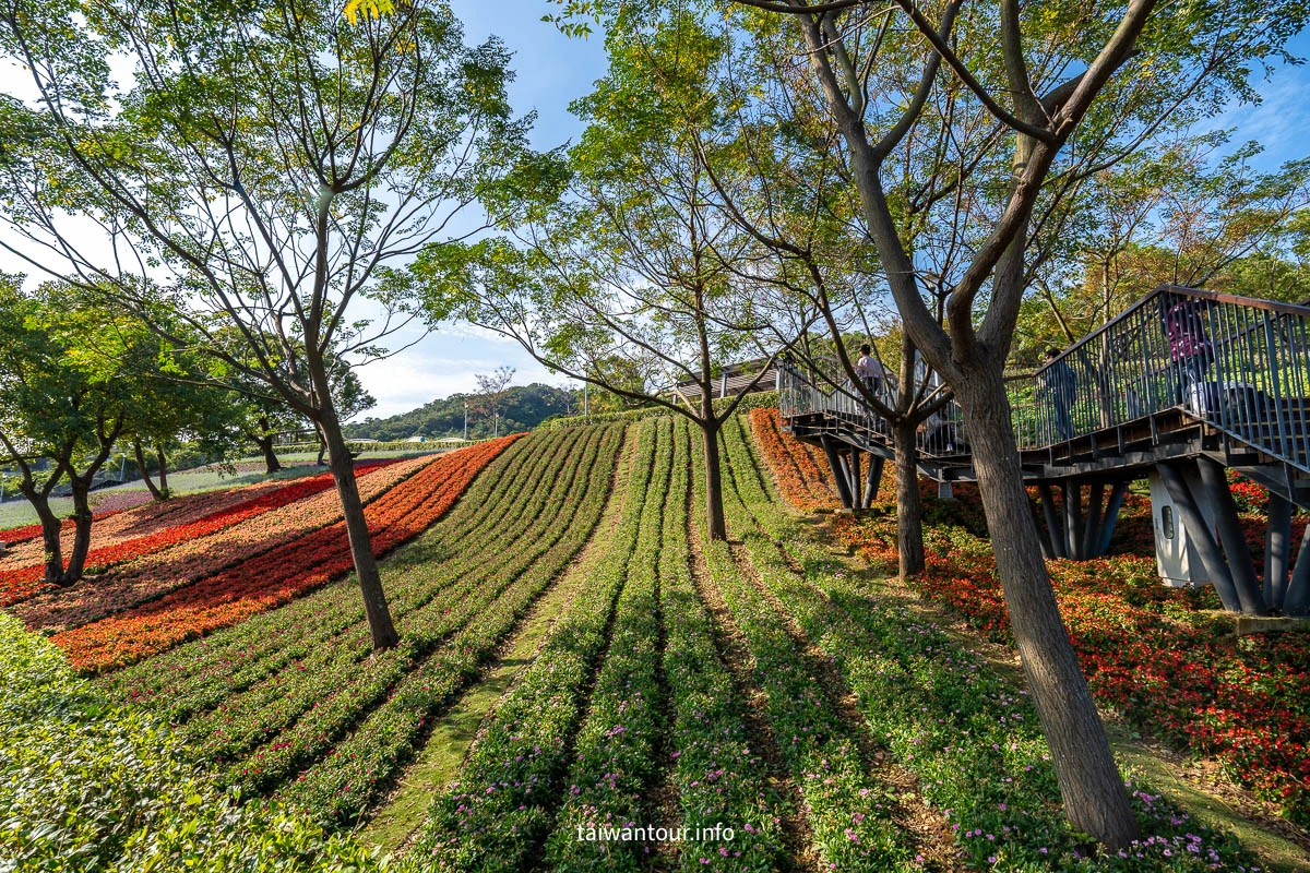 【2026北投社三層崎公園】富良野花海.IG網美秘境.交通地址