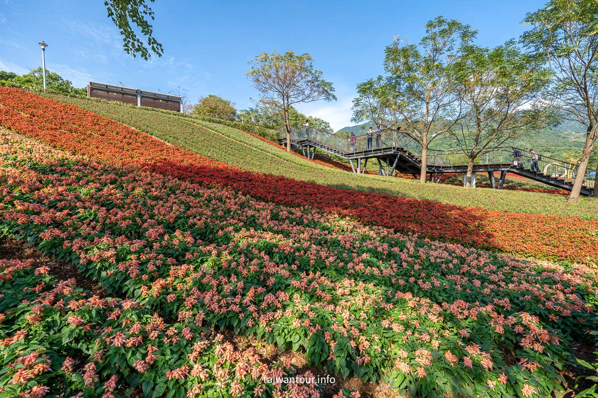 【2026北投社三層崎公園】富良野花海.IG網美秘境.交通地址
