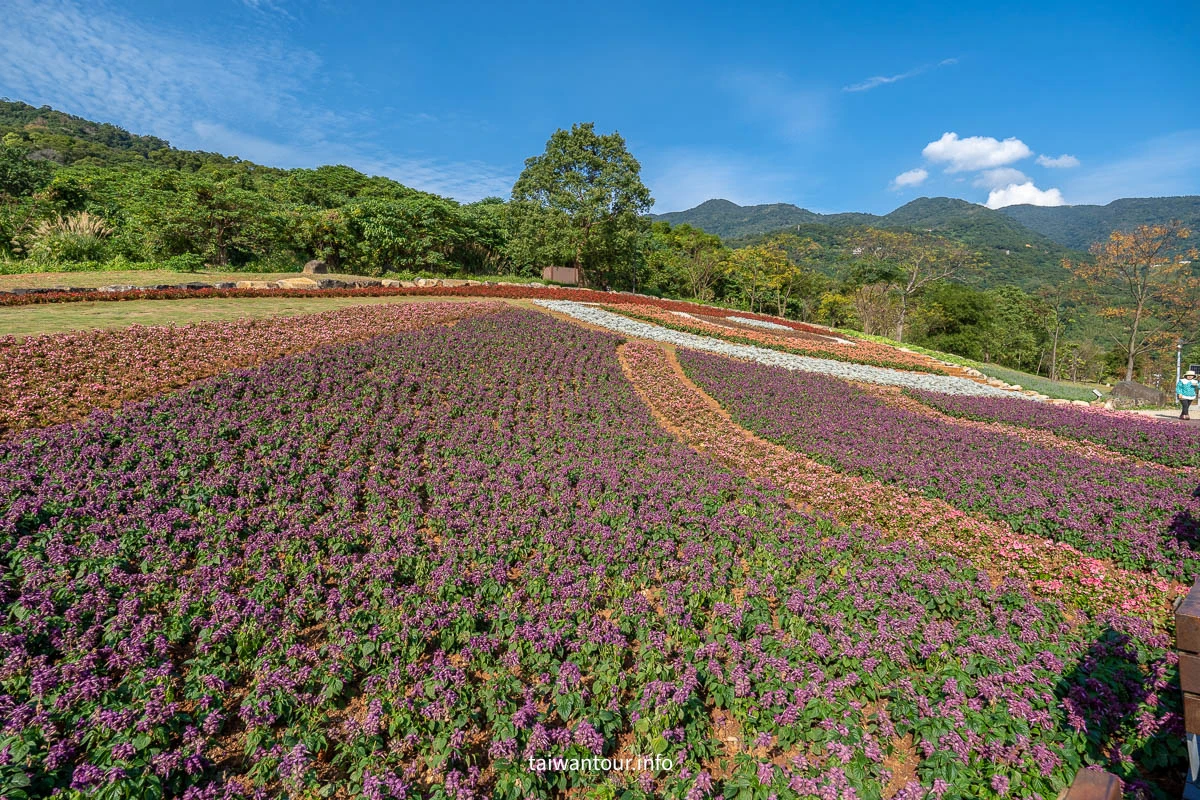 【2026北投社三層崎公園】富良野花海.IG網美秘境.交通地址