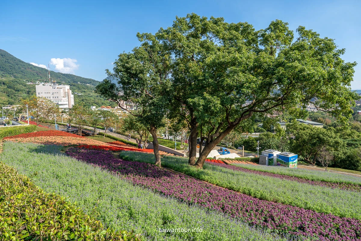 【2026北投社三層崎公園】富良野花海.IG網美秘境.交通地址