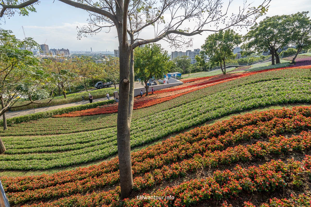 【2026北投社三層崎公園】富良野花海.IG網美秘境.交通地址