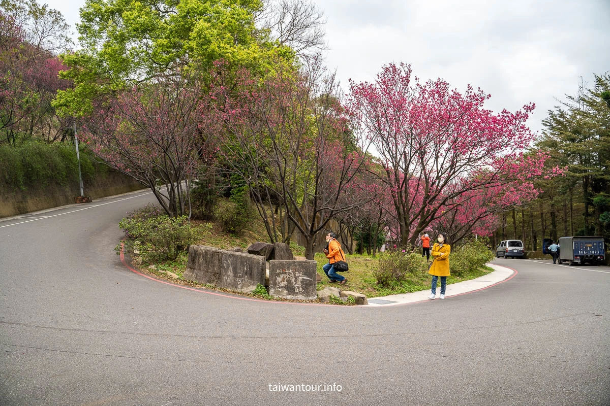 【壽山巖觀音寺公園櫻花林】桃園景點推薦龜山花季交通