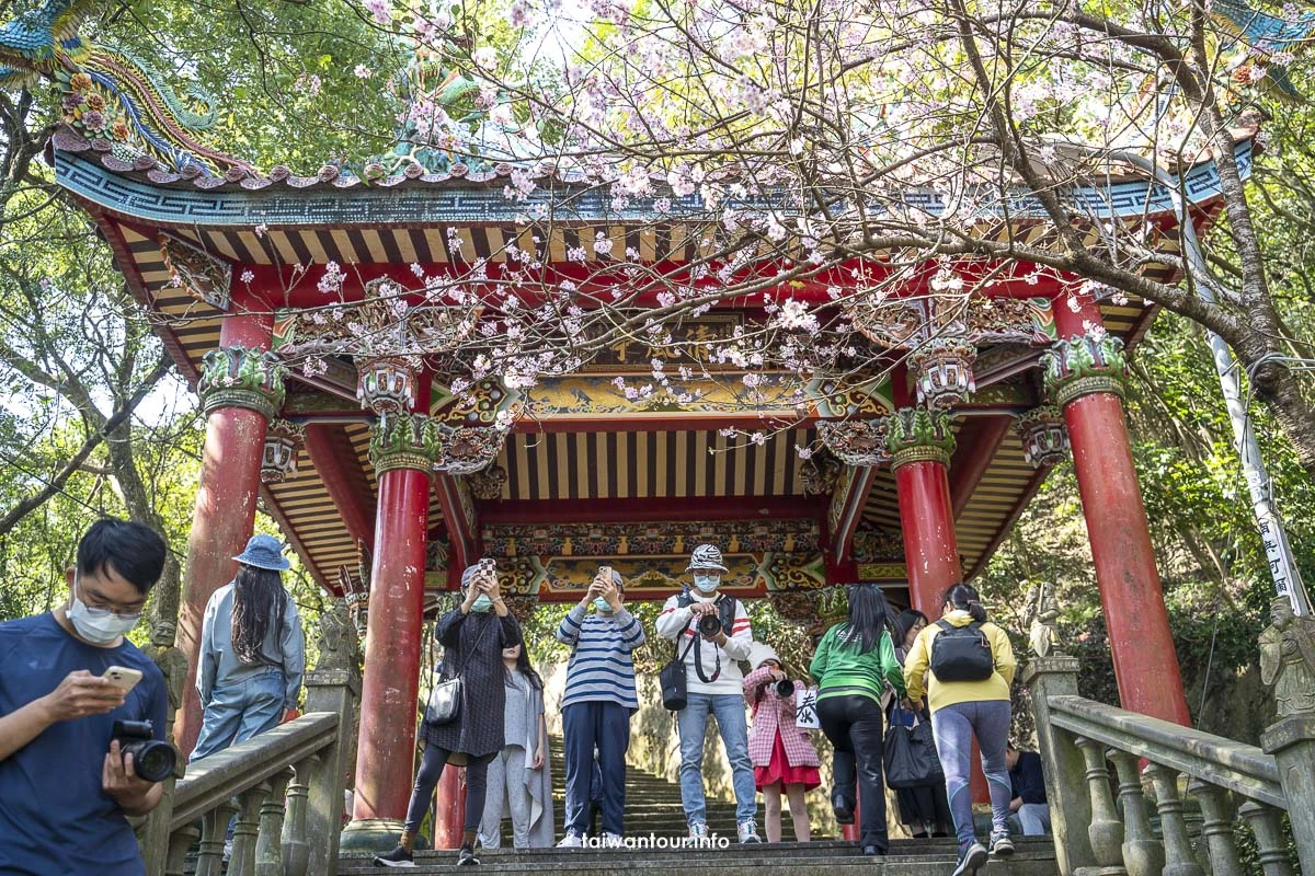 2026【碧山巖櫻花隧道】花況內湖情侶約會百萬夜景.開漳聖王廟 2026【碧山巖櫻花隧道】花況內湖情侶約會百萬夜景.開漳聖王廟