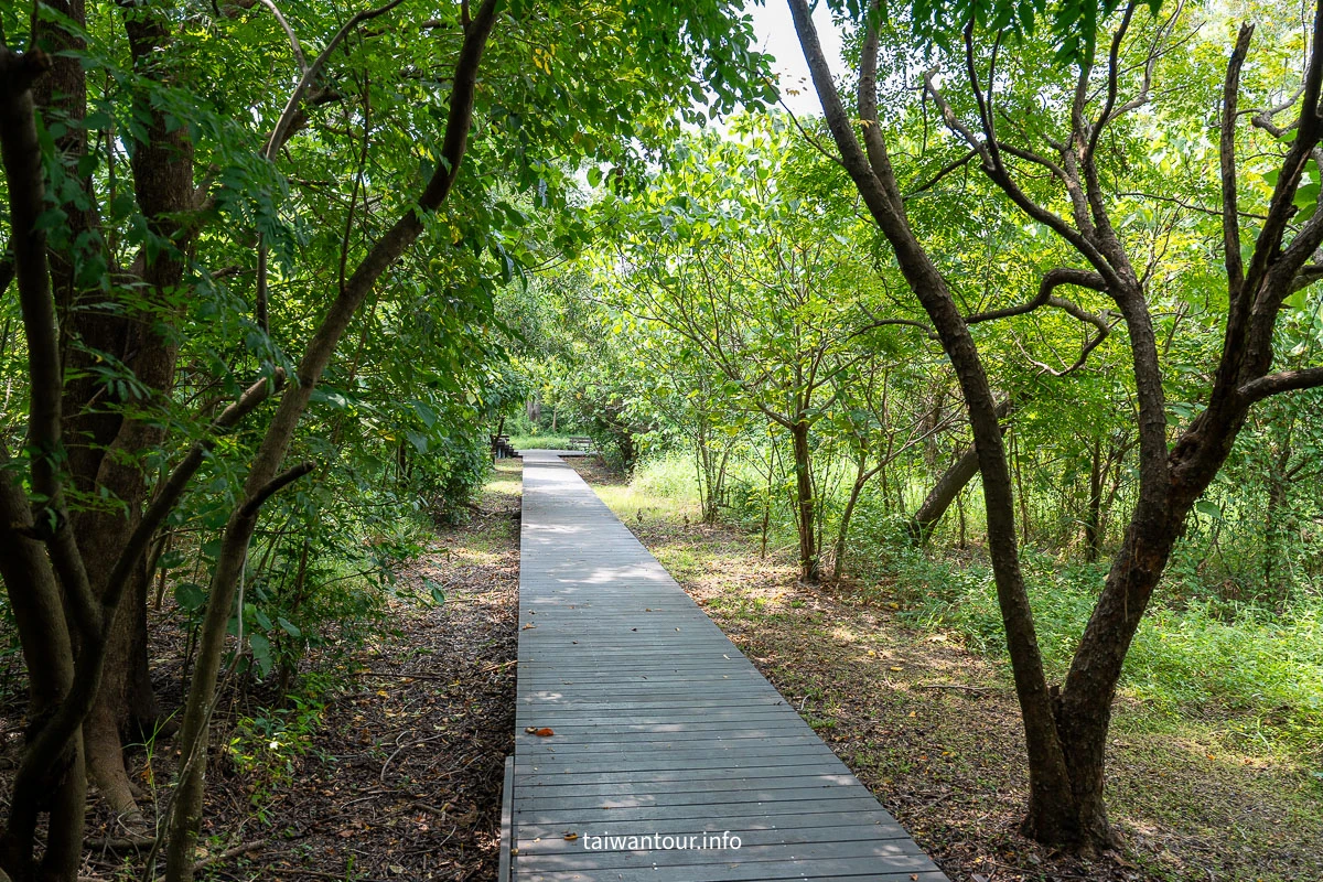 【巴克禮紀念公園】台南親子森林.螢火蟲.落雨松 【巴克禮紀念公園】台南親子森林.螢火蟲.落雨松