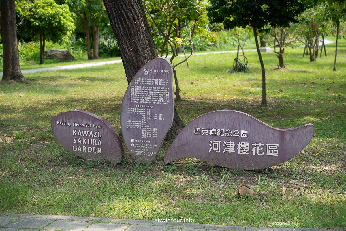 【巴克禮紀念公園】台南親子森林.螢火蟲.落雨松