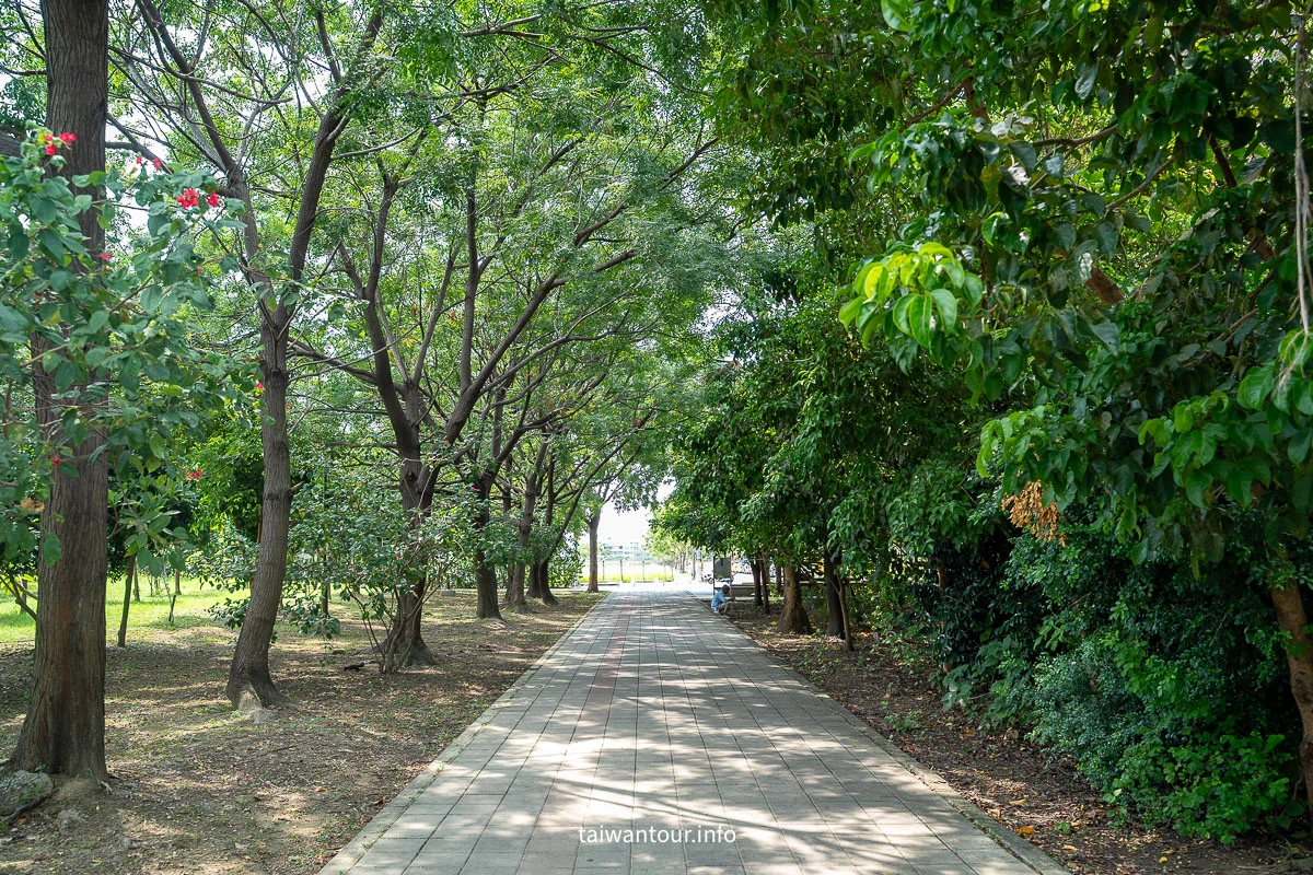 【巴克禮紀念公園】台南親子森林.螢火蟲.落雨松 【巴克禮紀念公園】台南親子森林.螢火蟲.落雨松