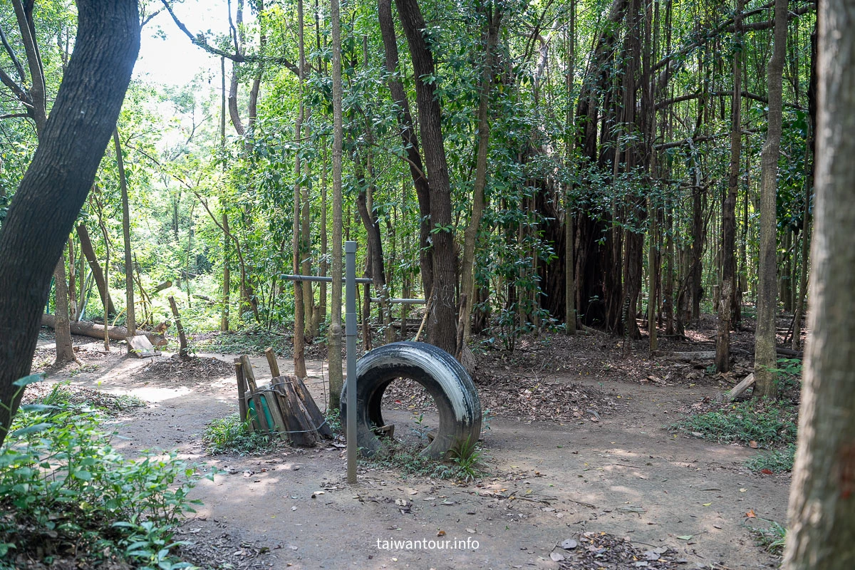 【巴克禮紀念公園】台南親子森林.螢火蟲.落雨松 【巴克禮紀念公園】台南親子森林.螢火蟲.落雨松