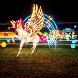 2026新北燈會攝影比賽徵件 LINE官方帳號隨拍隨投超輕鬆