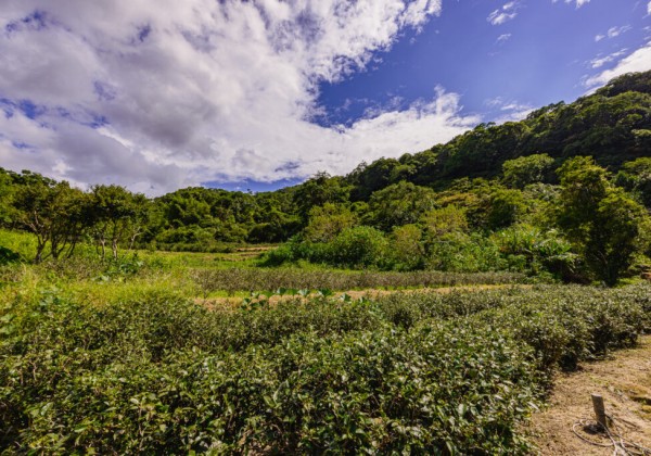 2026新北馬力全開．百業齊發！  帶領各行各業共創經濟榮景