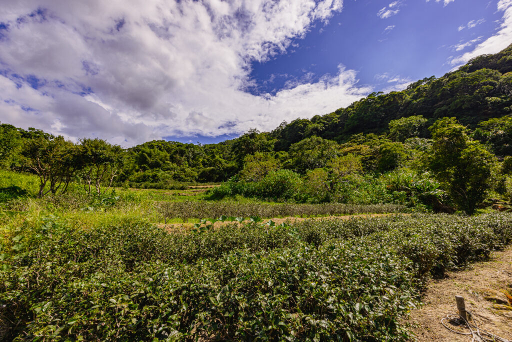 2026新北馬力全開．百業齊發！  帶領各行各業共創經濟榮景