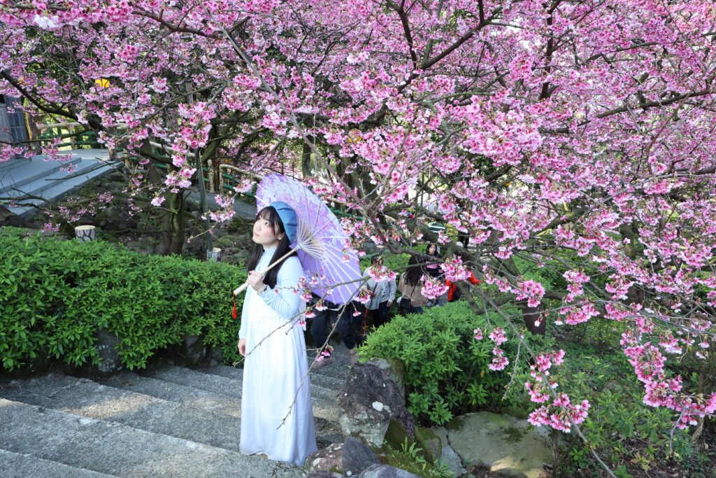 新北推黃金三角行程 春季必衝秘境一日遊 新北推黃金三角行程 春季必衝秘境一日遊