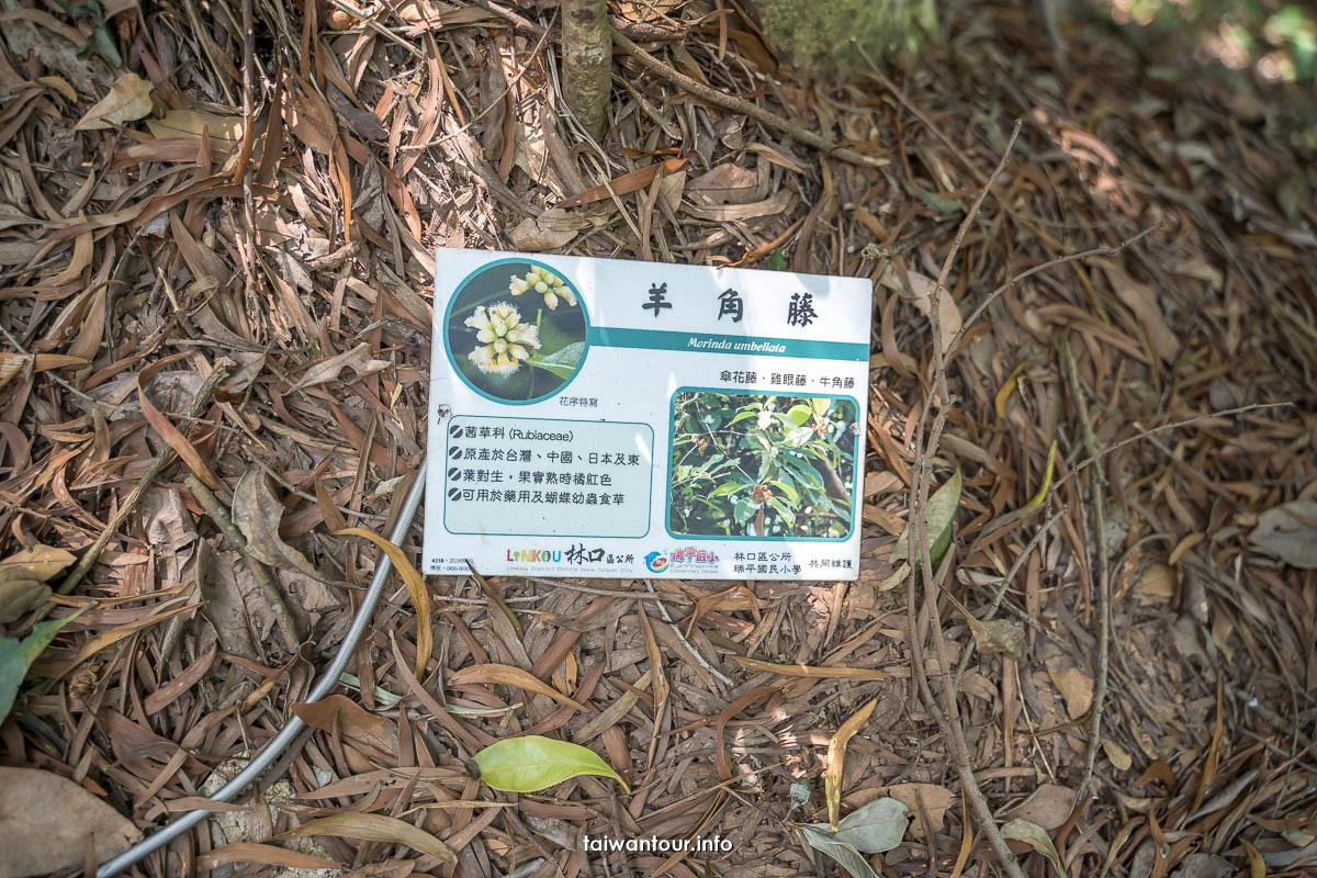 【太平濱海步道】林口親子登山步道.開車.美食介紹 【太平濱海步道】林口親子登山步道.開車.美食介紹