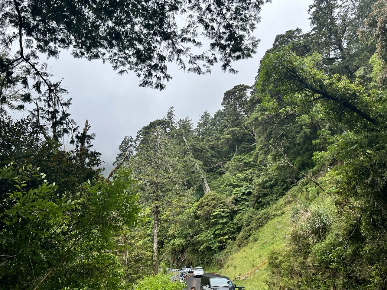 【2026台20線南橫公路】通車限制.景點.住宿推薦 【2026台20線南橫公路】通車限制.景點.住宿推薦