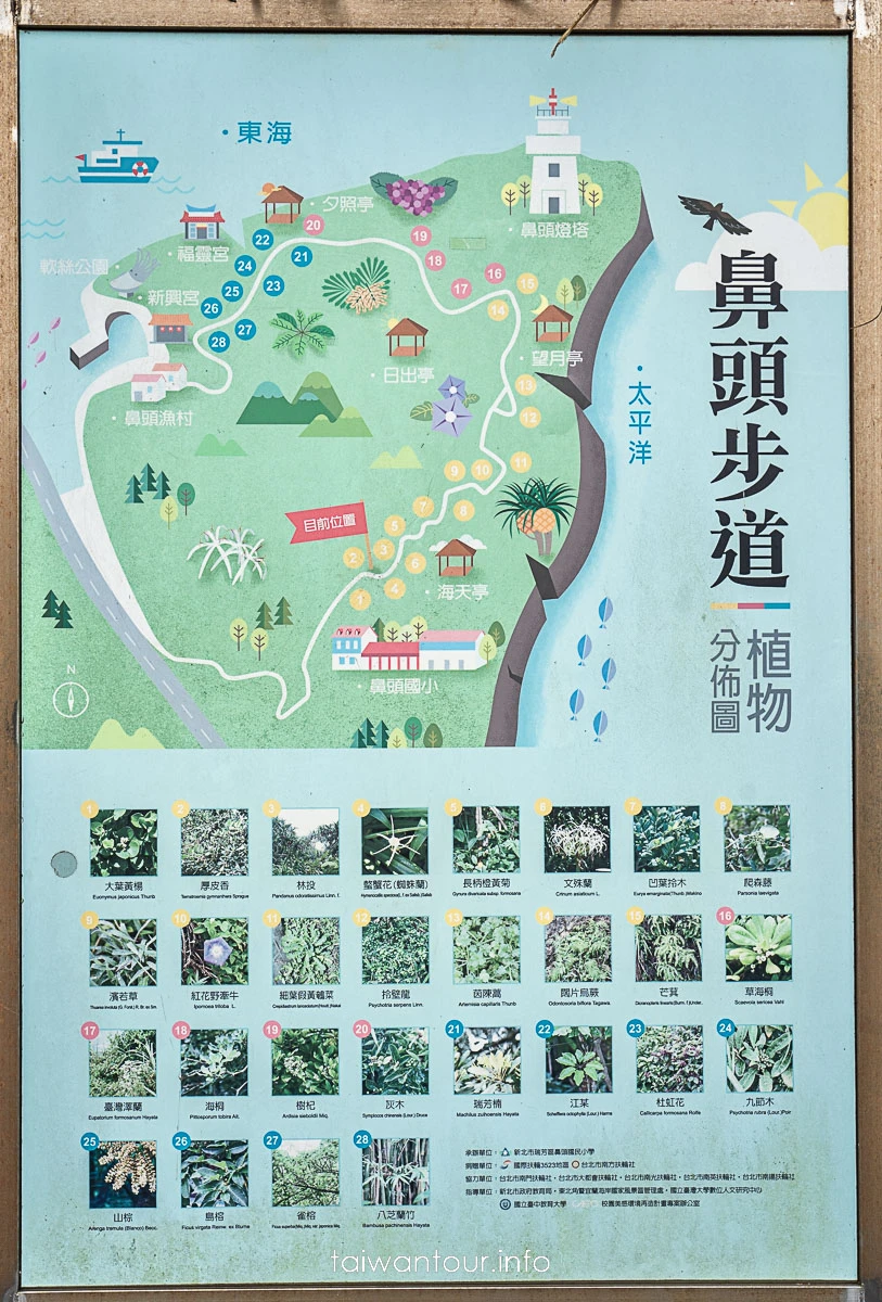 【鼻頭角步道】東北角瑞芳景點一日遊推薦.附近美食