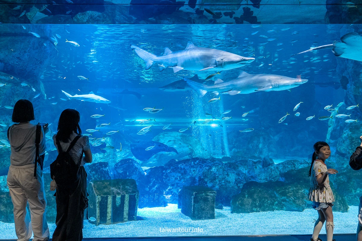 【COEX 水族館】首爾水族館門票.交通.美人魚秀.韓劇拍攝地一次看! 【COEX 水族館】首爾水族館門票.交通.美人魚秀.韓劇拍攝地一次看!