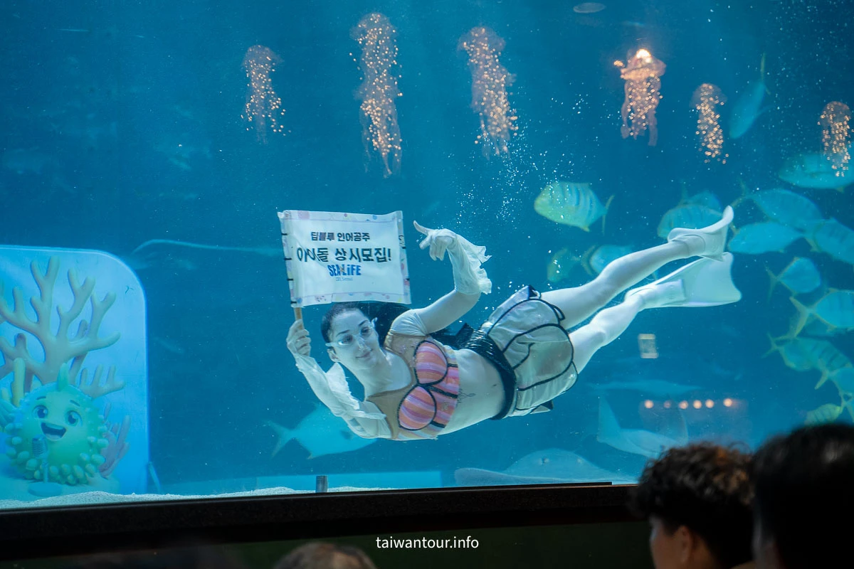 【COEX 水族館】首爾水族館門票.交通.美人魚秀.韓劇拍攝地一次看! 【COEX 水族館】首爾水族館門票.交通.美人魚秀.韓劇拍攝地一次看!