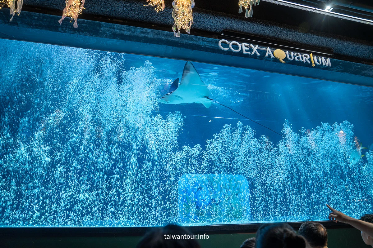 【COEX 水族館】首爾水族館門票.交通.美人魚秀.韓劇拍攝地一次看! 【COEX 水族館】首爾水族館門票.交通.美人魚秀.韓劇拍攝地一次看!