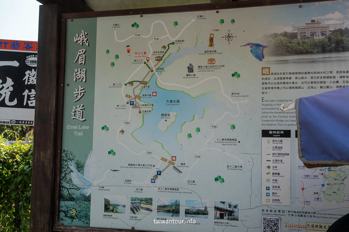 【峨眉湖環湖步道】新竹黃花風鈴木爆炸開！細茅埔吊橋、彌勒大佛、遊湖秘境一日遊
