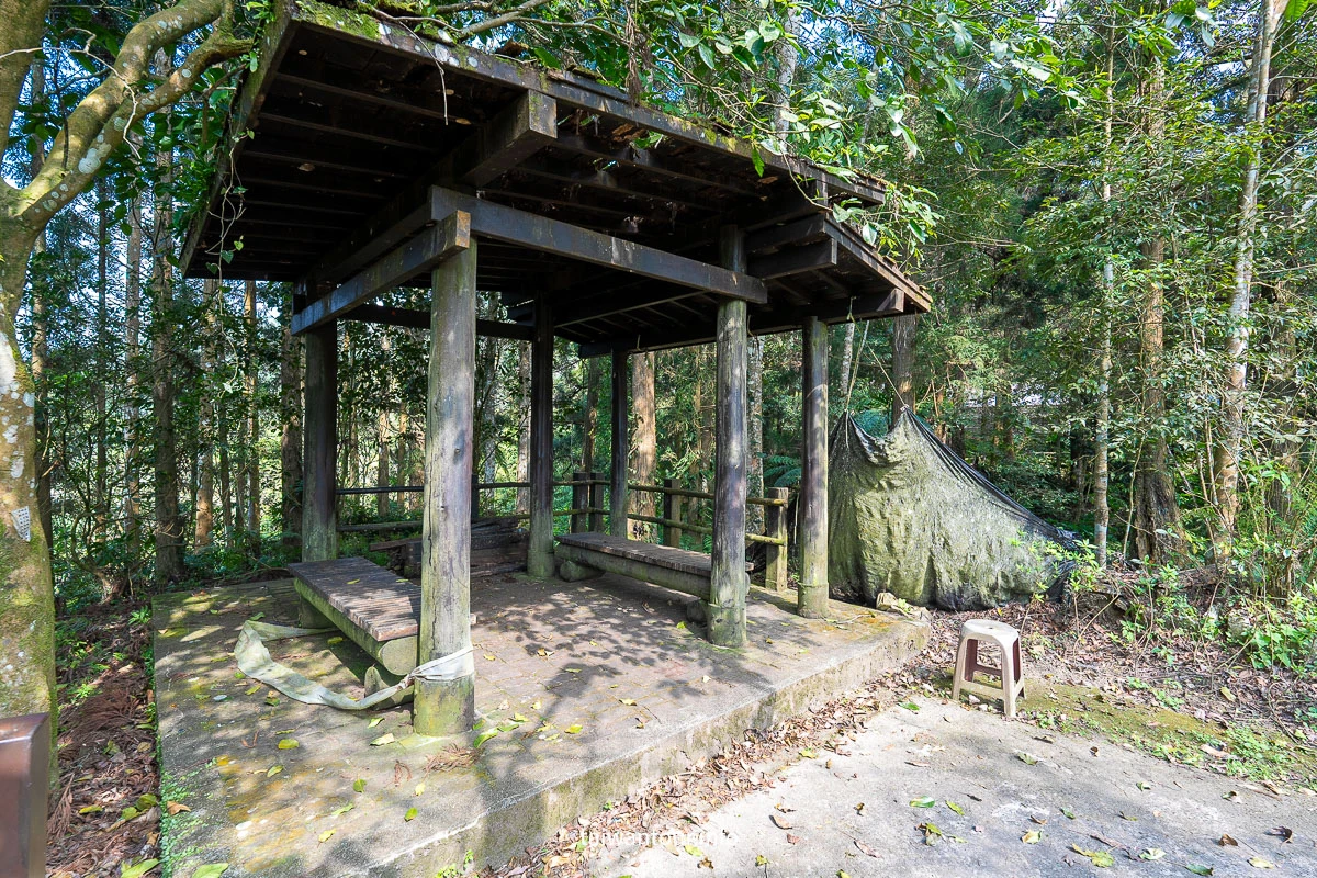 【南庄向天湖友善步道】賽夏傳說.台灣版歐洲湖景