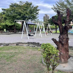 來新北中和森林系親子探索共融公園 擁抱自然安心玩