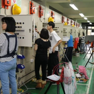 115年新北市性別平等觀念調查  逾9成支持同工同酬、家務共擔 性平深耕基層見成效