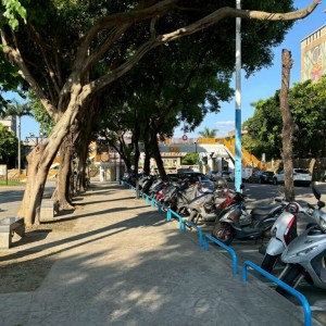 板橋第一運動場翻轉！　「森活走廊」榮獲國家級景觀大獎肯定