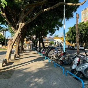 板橋第一運動場翻轉！　「森活走廊」榮獲國家級景觀大獎肯定