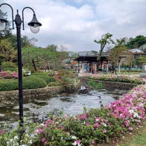 新北景觀處邀您來金山中山溫泉公園 　陪你一年四季放鬆樂活