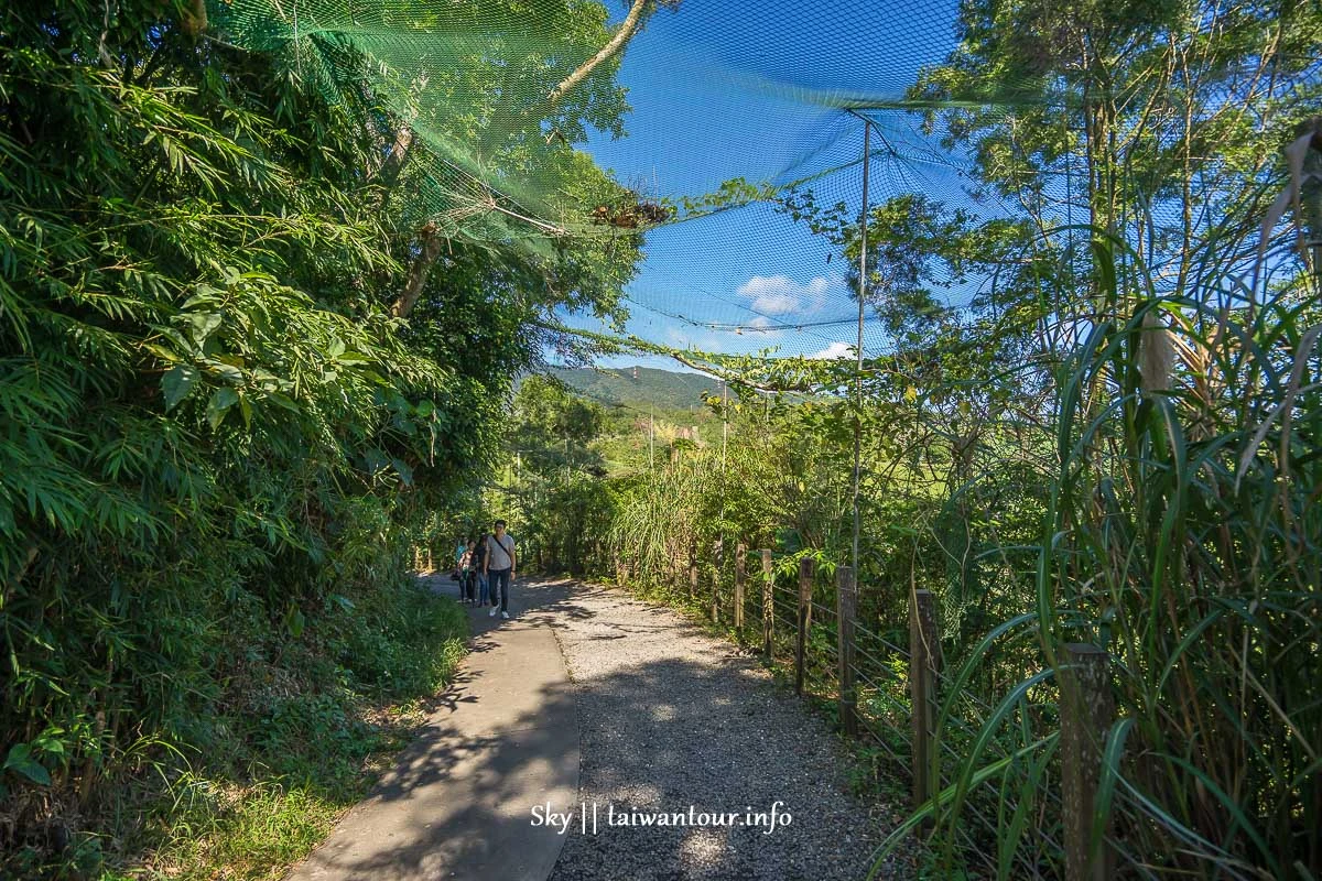 【林美石磐步道】宜蘭礁溪地址.交通怎麼去.開放時間.走多久