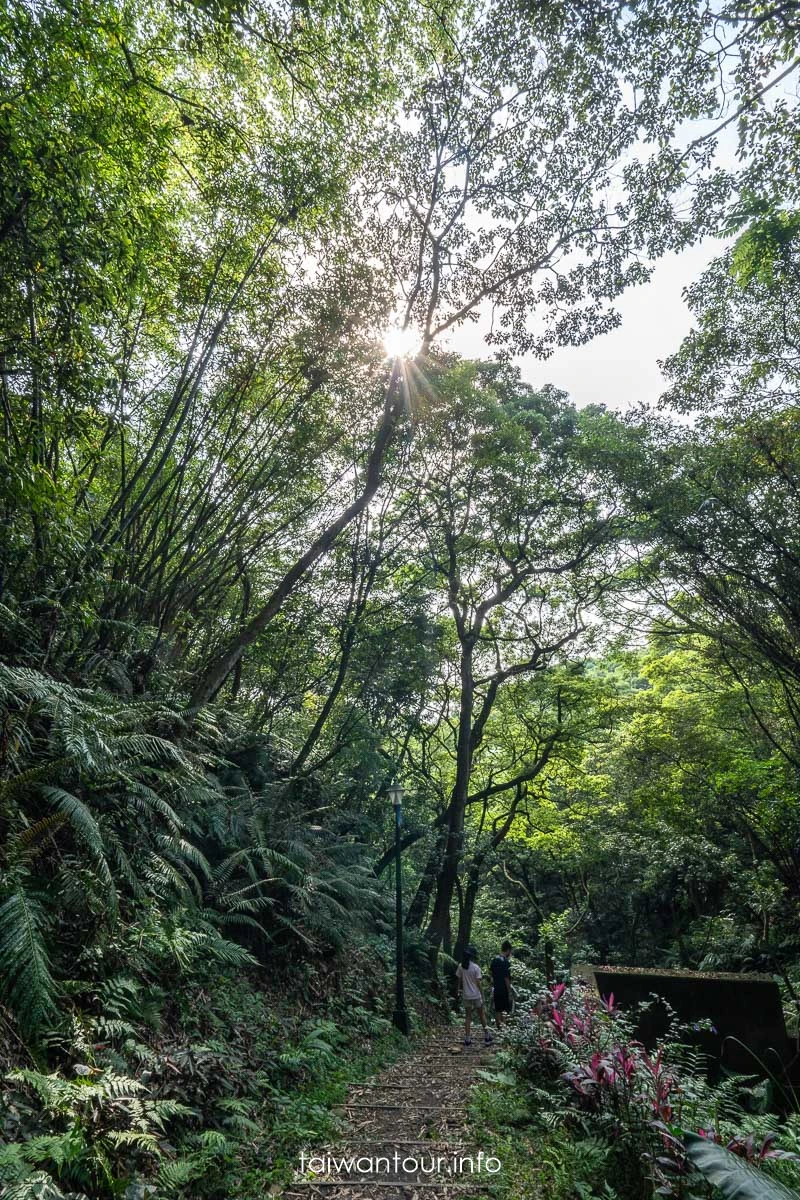 【老公崎新林步道】新北油桐花步道.親子景點推薦