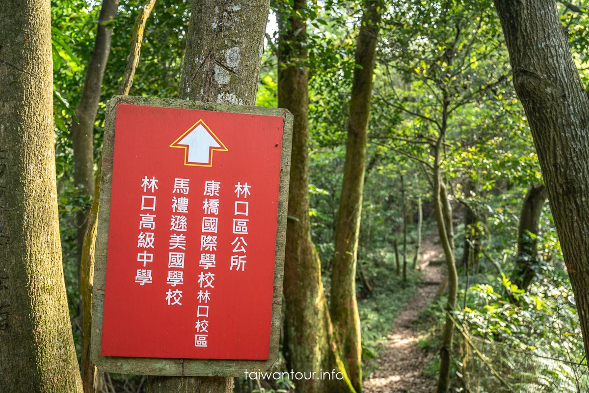【老公崎新林步道】新北油桐花步道.親子景點推薦