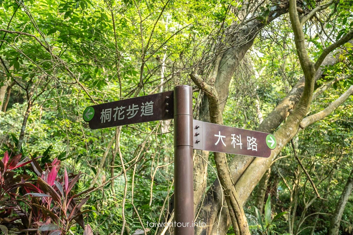 【老公崎新林步道】新北油桐花步道.親子景點推薦