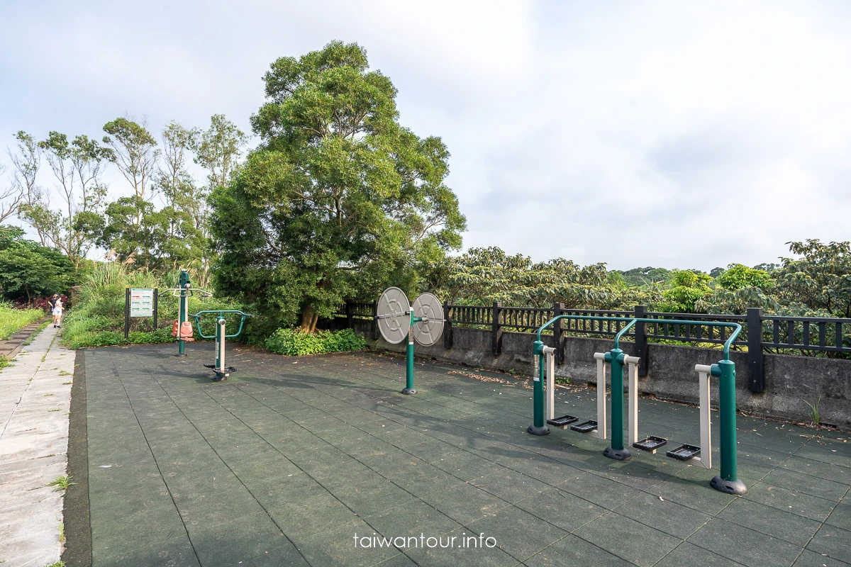 【老公崎新林步道】新北油桐花步道.親子景點推薦 【老公崎新林步道】新北油桐花步道.親子景點推薦