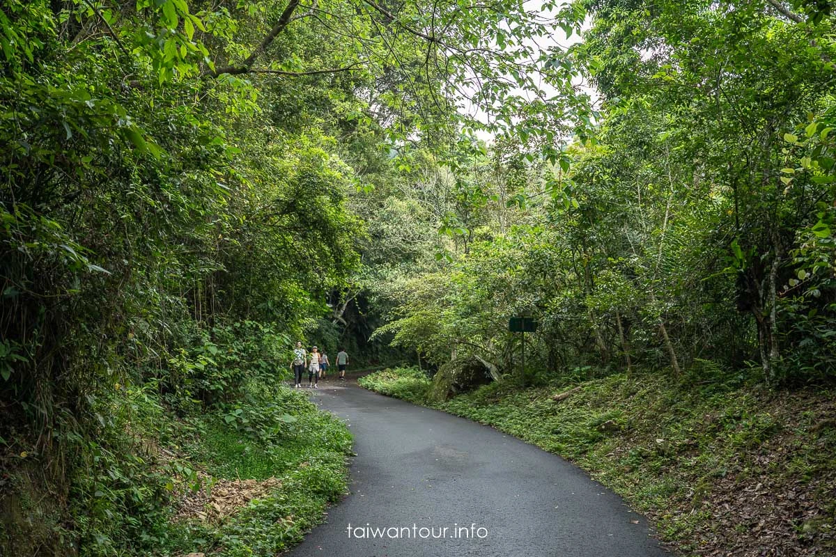 【百吉林蔭步道】桃園健行螢火蟲與懷舊古道