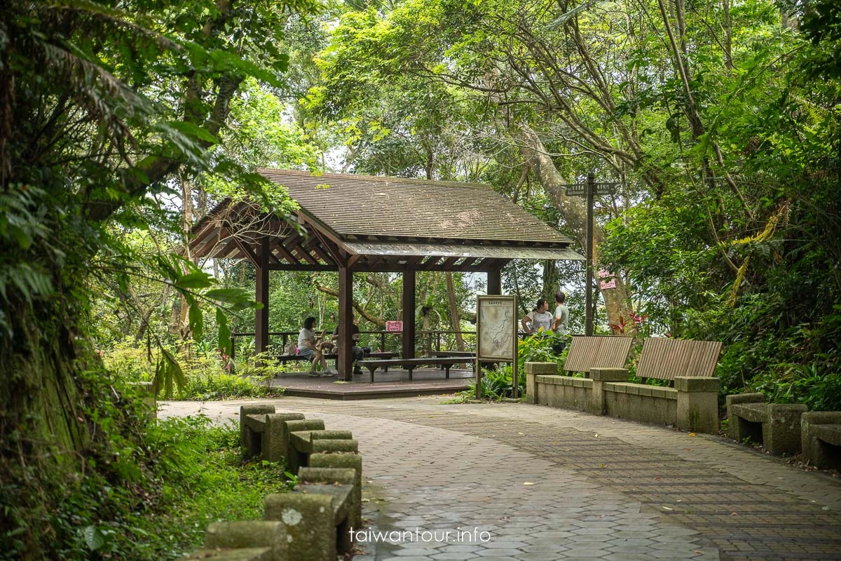 【百吉林蔭步道】桃園健行螢火蟲與懷舊古道 【百吉林蔭步道】桃園健行螢火蟲與懷舊古道