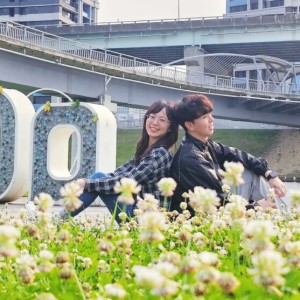 新北大都會公園「白花三葉草」盛開如春雪　伴繽紛花海共織夢幻美景　邀大眾賞花踏青