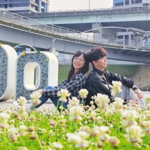 新北大都會公園「白花三葉草」盛開如春雪　伴繽紛花海共織夢幻美景　邀大眾賞花踏青